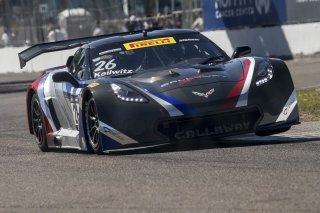 Pirelli Word Challenge, St . Petersburg Grand Prix, ST. Petersburg, FL

March 9 - 11, 2017 | ©2018 Brian Cleary