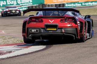 Pirelli Word Challenge, St . Petersburg Grand Prix, ST. Petersburg, FL

March 9 - 11, 2017 | ©2018 Brian Cleary