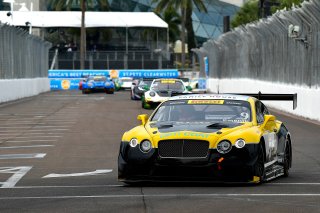 Pirelli Word Challenge, St . Petersburg Grand Prix, ST. Petersburg, FL

March 9 - 11, 2017 | ©2018 Rick Dole