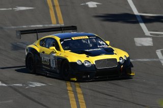 Pirelli Word Challenge, St . Petersburg Grand Prix, ST. Petersburg, FL

March 9 - 11, 2017 | ©2018 Rick Dole