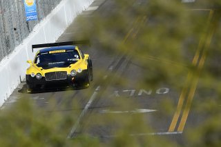 Pirelli Word Challenge, St . Petersburg Grand Prix, ST. Petersburg, FL

March 9 - 11, 2017 | ©2018 Rick Dole