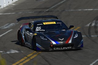 Pirelli Word Challenge, St . Petersburg Grand Prix, ST. Petersburg, FL

March 9 - 11, 2017 | ©2018 Rick Dole