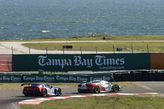 Pirelli Word Challenge, St . Petersburg Grand Prix, ST. Petersburg, FL

March 9 - 11, 2017 | ©2018 Rick Dole