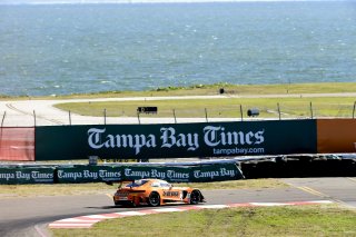 Pirelli Word Challenge, St . Petersburg Grand Prix, ST. Petersburg, FL

March 9 - 11, 2017 | ©2018 Rick Dole
