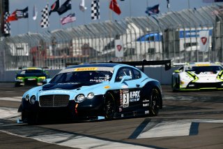 Pirelli Word Challenge, St . Petersburg Grand Prix, ST. Petersburg, FL

March 9 - 11, 2017 | ©2018 Rick Dole