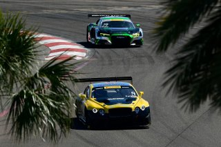 Pirelli Word Challenge, St . Petersburg Grand Prix, ST. Petersburg, FL

March 9 - 11, 2017 | ©2018 Rick Dole