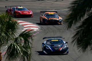 Pirelli Word Challenge, St . Petersburg Grand Prix, ST. Petersburg, FL

March 9 - 11, 2017 | ©2018 Rick Dole