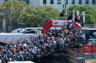 Pirelli Word Challenge, St . Petersburg Grand Prix, ST. Petersburg, FL

March 9 - 11, 2017 | ©2018 Rick Dole