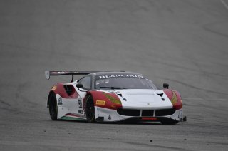 99: One11 Competition, Alfred Caiola, Matt Plumb, Ferrari 488 GT3 | SRO Motorsports Group