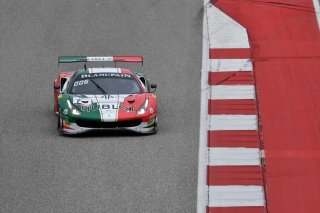Blancpain World Challenge America, Austin, Texas, USA, Circuit of the Americas, 1-3 March, 2019
7: Squadra Corse Garage Italia, Martin Fuentes, Caeser Bacarella, Ferrari 488 GT3, Hublot, Alpha Prime, Maxim
Photo:  SRO/Rick Dole
 | SRO Motorsports Group
