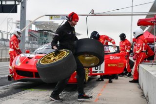 Austin , TX - February 28: Miguel Molina  or Toni Vilander pilots the #61 Ferrari 488 GT3, competing in the GT SprintX class during the Blancpain GT World Challenge Presented by Euroworld Motorsports on February 28, 2019 at the Circuit of The Americas in  | &copy; 2018 SRO / Gavin Baker
Gavin Baker
www.GavinBakerPhotography.com