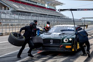Austin , TX - February 28: Alvaro Parente  or Andy Soucek pilots the #9 Bentley Continental GT3, competing in the GT SprintX class during the Blancpain GT World Challenge Presented by Euroworld Motorsports on February 28, 2019 at the Circuit of The Americ | &copy; 2018 SRO / Gavin Baker
Gavin Baker
www.GavinBakerPhotography.com