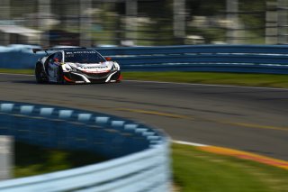#80 Acura NSX of Martin Barkey and Kyle Marcelli with Racers Edge Motorsports

Watkins Glen World Challenge America , Watkins Glen NY | Gavin Baker/SRO
