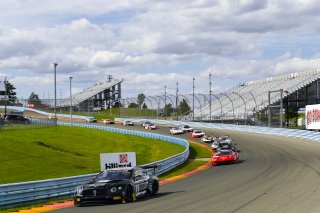 #9 Bentley Continental GT3 of Alvaro Parente and Andy Soucek with K-PAX Racing

Watkins Glen World Challenge America , Watkins Glen NY

 | Gavin Baker/SRO
