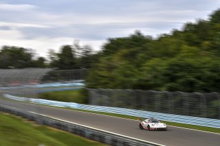 #58 Porsche 911 GT3 R (991) of Patrick Long and Scott Hargrove with Wright Motorsports

Watkins Glen World Challenge America , Watkins Glen NY

 | Gavin Baker/SRO
