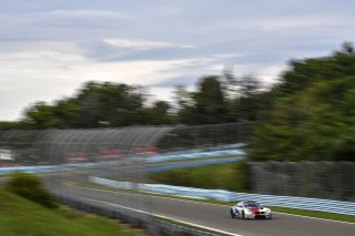#87 BMW F13 M6 GT3 of Henry Schmitt and Gregory Liefooghe with Stephen Cameron Racing

Watkins Glen World Challenge America , Watkins Glen NY

 | Gavin Baker/SRO
