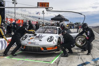 #91 Porsche 911 GT3 R (991) of Anthony Imperato and Dennis Olsen with Wright Motorsports

Watkins Glen World Challenge America , Watkins Glen NY

 | Gavin Baker/SRO
