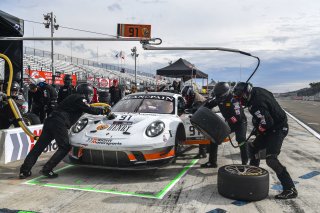 #91 Porsche 911 GT3 R (991) of Anthony Imperato and Dennis Olsen with Wright Motorsports

Watkins Glen World Challenge America , Watkins Glen NY

 | Gavin Baker/SRO
