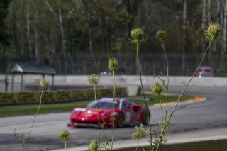 #61 Ferrari 488 GT3, Daniel Serra, Toni Vilander, R. Ferri Motorsport, SRO GT World Challenge America, Road America, September 2019.
 | Brian Cleary/SRO