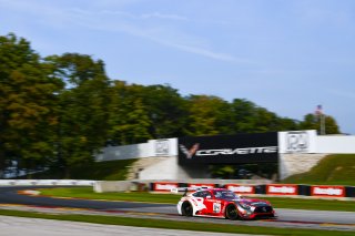 #04 Mercedes-AMG GT3 of George Kurtz and Colin Braun with DXDT Racing

Road America World Challenge America , Elkhart Lake WI | Gavin Baker/SRO
