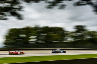 SRO Blancpain GT World Challenge America, Road #3 Bentley Continental GT3, Rodrigo Baptista, Maxime Soulet, K-PAX Racing, America, September 2019.
 | Bob Chapman/SRO                    