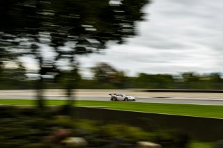 #91 Porsche 911 GT3R (991), Anthony Imperator, Matt Campbell, Wright Motorsports, SRO Blancpain GT World Challenge America, Road America, September 2019.
 | Bob Chapman/SRO                    