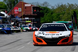 #43 Acura NSX of Bret Curtis and Dane Cameron 

VIRginia International Raceway, Alton VA | Gavin Baker/SRO
