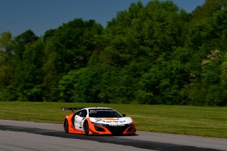 #43 Acura NSX of Bret Curtis and Dane Cameron 

VIRginia International Raceway, Alton VA | Gavin Baker/SRO
