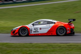 #43, Acura NSX, Bret Curtis and Dane Cameron, GT SprintX, VIRginia International Raceway, Alton VA
 | Brian Cleary/SRO

