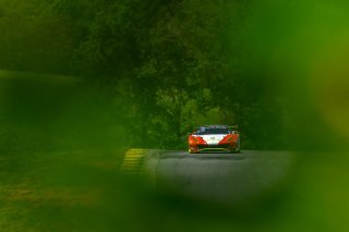 #99 Ferrari 488 GT3 of Alfred Caiola and Matt Plumb 

VIRginia International Raceway, Alton VA | Gavin Baker/SRO
