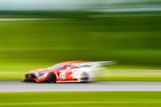#04 Mercedes-AMG GT3 of George Kurtz and Colin Braun 

VIRginia International Raceway, Alton VA | Gavin Baker/SRO

