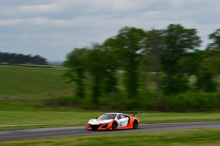 #43 Acura NSX of Bret Curtis and Dane Cameron 

VIRginia International Raceway, Alton VA | Gavin Baker/SRO
