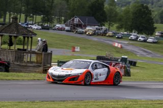 #43 Acura NSX of Bret Curtis and Dane Cameron 

VIRginia International Raceway, Alton VA                                        | SRO Motorsports Group