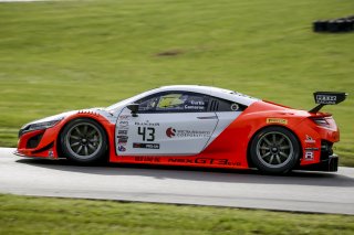 #43 Acura NSX of Bret Curtis and Dane Cameron 

VIRginia International Raceway, Alton VA                                        | SRO Motorsports Group