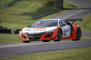 #43 Acura NSX of Bret Curtis and Dane Cameron 

VIRginia International Raceway, Alton VA                                        | SRO Motorsports Group