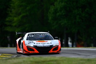 #43 Acura NSX of Bret Curtis and Dane Cameron 

VIRginia International Raceway, Alton VA | Gavin Baker/SRO
