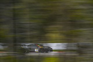 #11 McLaren 570S GT4 of Tony Gaples  

Castrol Victoria Day SpeedFest Weekend, Clarington ON | Gavin Baker/SRO
