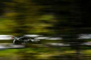 #80 Acura NSX of Martin Barkey and Kyle Marcelli 

Castrol Victoria Day SpeedFest Weekend, Clarington ON | Gavin Baker/SRO

