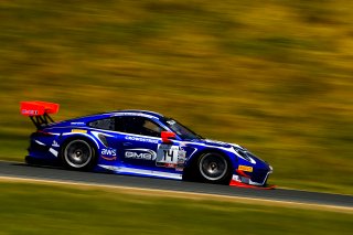 #14 Porsche 911 GT3 R (991) of James Sofronas and Dirk Werner 

SRO at Sonoma Raceway, Sonoma CA | Gavin Baker/SRO
