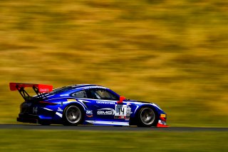 #14 Porsche 911 GT3 R (991) of James Sofronas and Dirk Werner 

SRO at Sonoma Raceway, Sonoma CA | Gavin Baker/SRO
