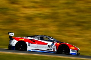 #99 Ferrari 488 GT3 of Alfred Caiola and Matt Plumb 

SRO at Sonoma Raceway, Sonoma CA | Gavin Baker/SRO
