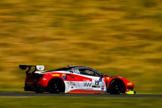 #19 Ferrari 488 GT3 of Christopher Cagnazzi and Andy Lally 

SRO at Sonoma Raceway, Sonoma CA | Gavin Baker/SRO
