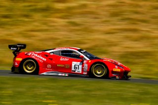 #61 Ferrari 488 GT3 of Miguel Molina and Toni Vilander 

SRO at Sonoma Raceway, Sonoma CA | Gavin Baker/SRO
