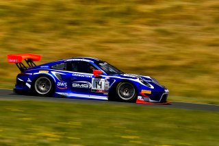 #14 Porsche 911 GT3 R (991) of James Sofronas and Dirk Werner 

SRO at Sonoma Raceway, Sonoma CA | Gavin Baker/SRO
