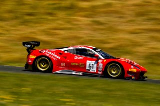 #61 Ferrari 488 GT3 of Miguel Molina and Toni Vilander 

SRO at Sonoma Raceway, Sonoma CA | Gavin Baker/SRO
