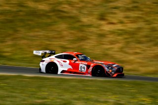 #04 Mercedes-AMG GT3 of George Kurtz and Colin Braun 

SRO at Sonoma Raceway, Sonoma CA | Gavin Baker/SRO
