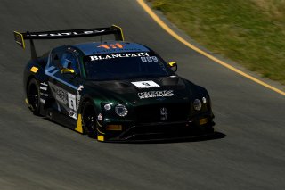 #9 Bentley Continental GT3 of Alvaro Parente and Andy Soucek 

SRO at Sonoma Raceway, Sonoma CA | Gavin Baker/SRO
