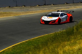 #43 Acura NSX of Bret Curtis and Dane Cameron 

SRO at Sonoma Raceway, Sonoma CA | Gavin Baker/SRO
