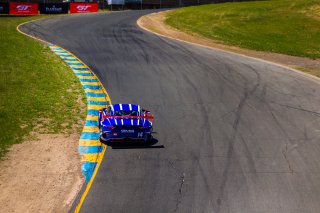 #14 Porsche 911 GT3 R (991) of James Sofronas and Dirk Werner 

SRO at Sonoma Raceway, Sonoma CA | Fabian Lagunas/SRO