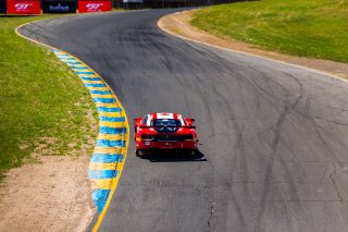 #61 Ferrari 488 GT3 of Miguel Molina and Toni Vilander 

SRO at Sonoma Raceway, Sonoma CA | Fabian Lagunas/SRO